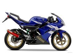 Mehr Informationen zu "Yamaha TZR"