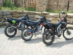 Moped 3.3.jpg